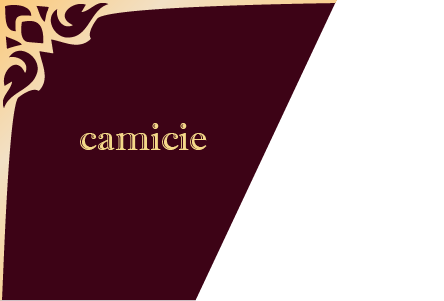 camicie sezione