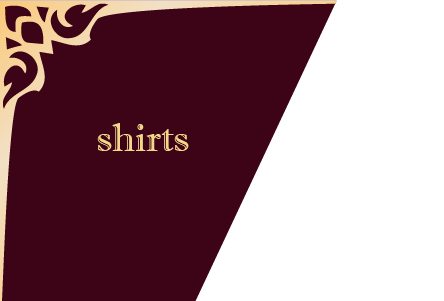 camicie sezione